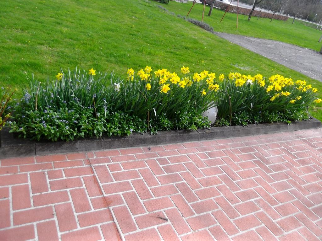 - Garni Stabauer Hotel